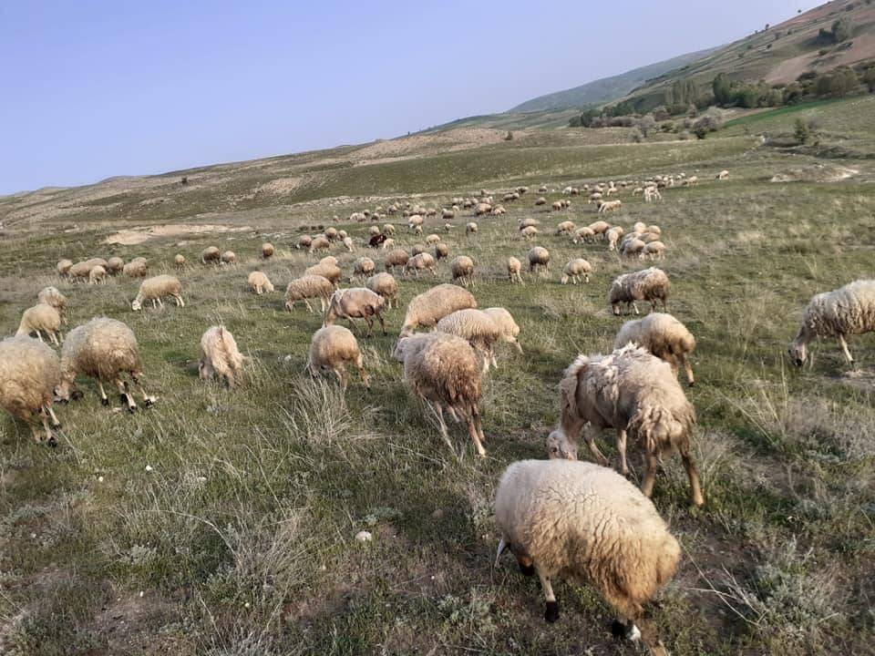 Yapraklı Yüklü Köyü Resimleri 4