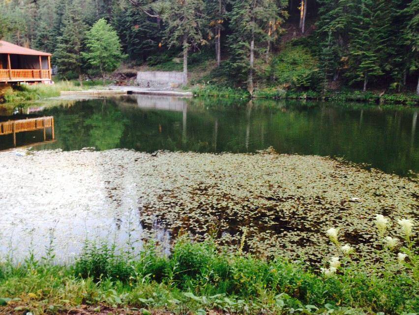 Yapraklı Yakaköy Köyü Resimleri 4