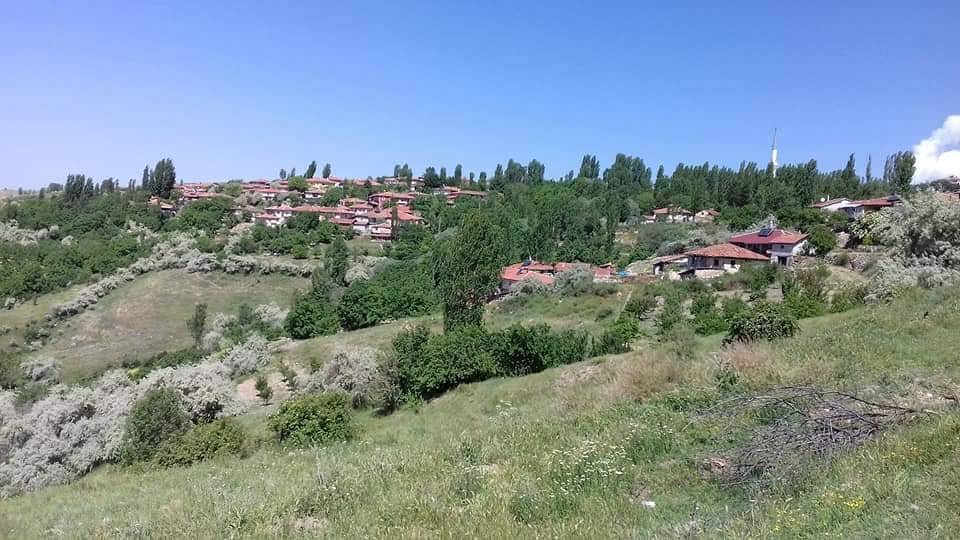 Yapraklı Topuzsaray Köyü Resimleri 4