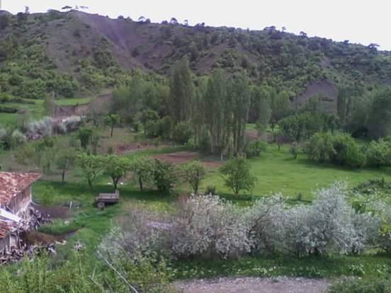 Yapraklı Sarıkaya Köyü Resimleri 1