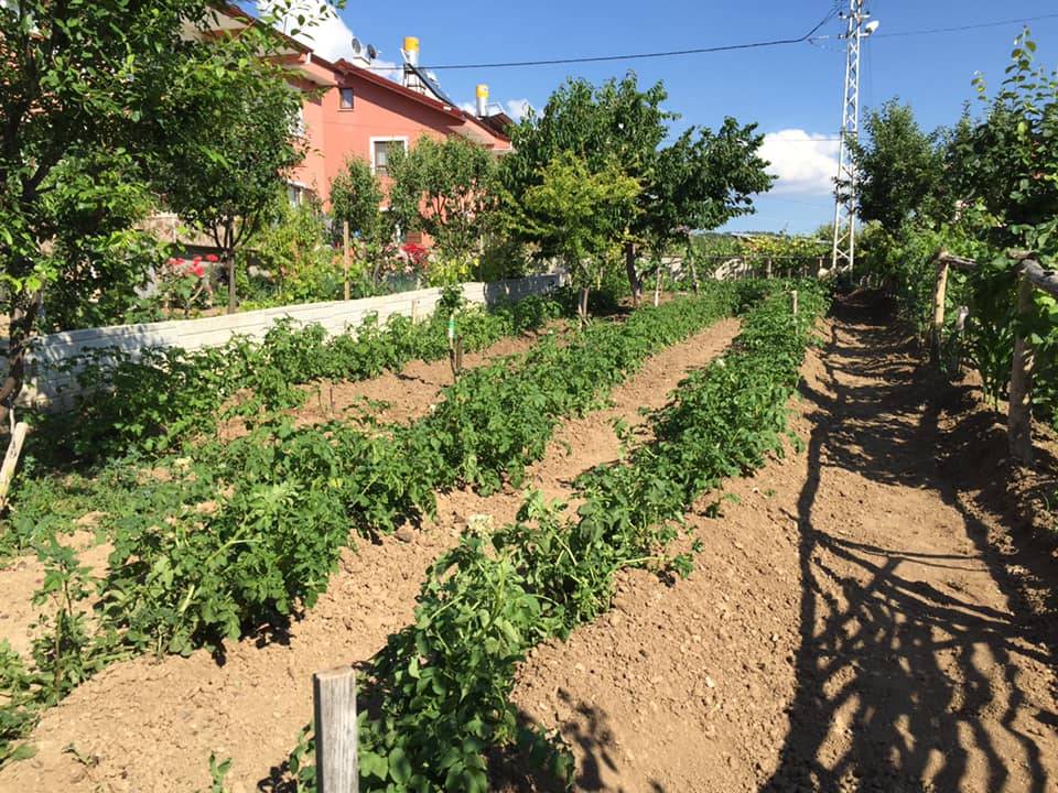 Yapraklı Sarıkaya Köyü Resimleri 8