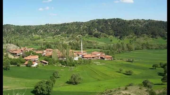 Yapraklı Müsellim Köyü Resimleri 2