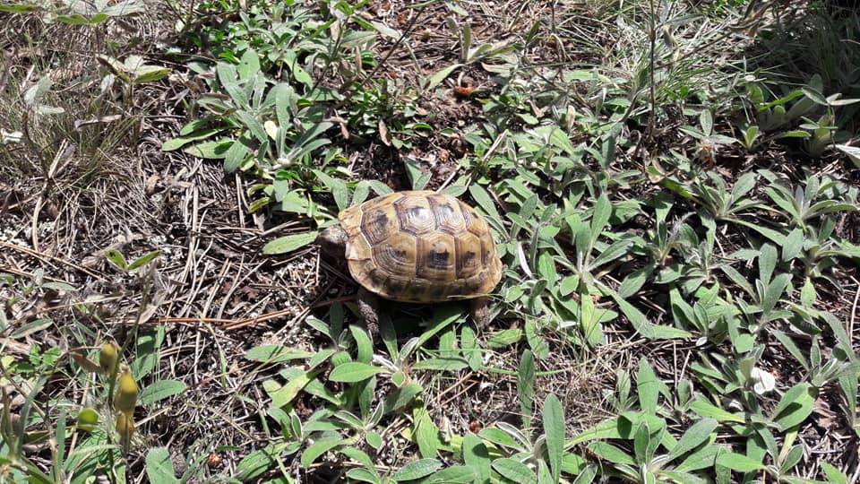 Çankırı Ahlatköy Köyü Resimleri 2