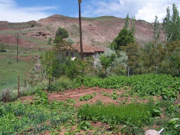 Çankırı Başeğmez Köyü Resimleri 1