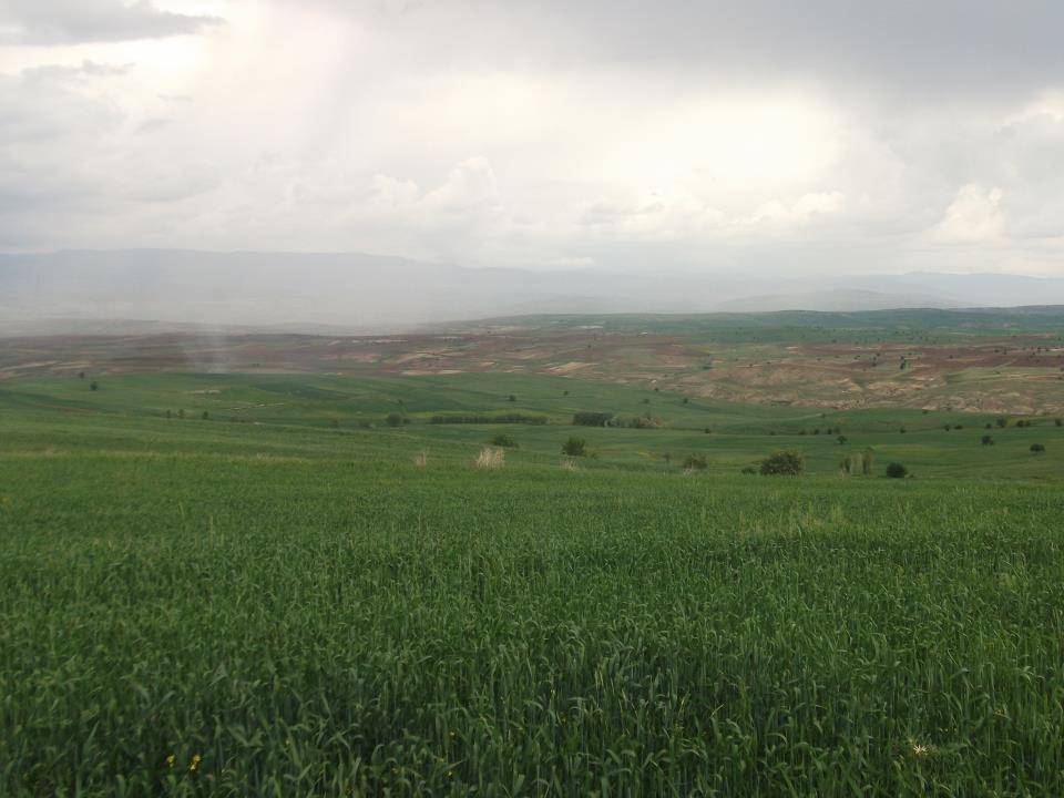 Çankırı Çivi Köyü Resimleri 4