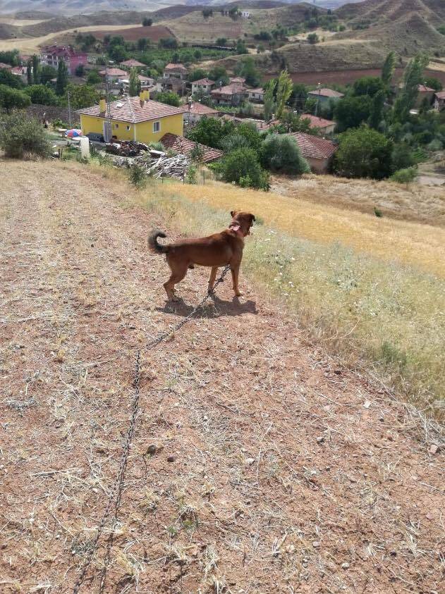 Çankırı Değim Köyü Resimleri 8