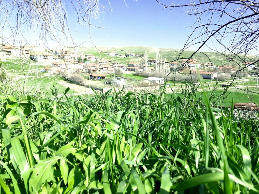 Çankırı Tuzlu Köyü Resimleri 2