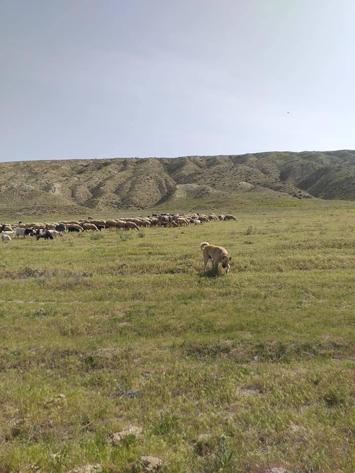 Çankırı Süleymanlı Köyü Resimleri 7