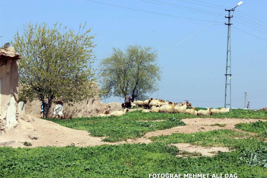 Elbeyli Taşlıbakar Köyü Resimleri 6