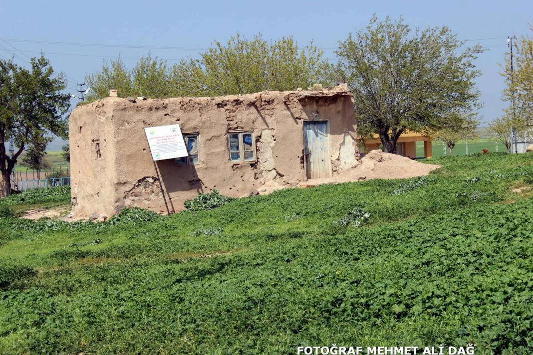 Elbeyli Taşlıbakar Köyü Resimleri 7