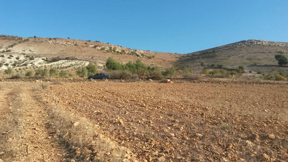 Polateli Söğütlü Köyü Resimleri 2
