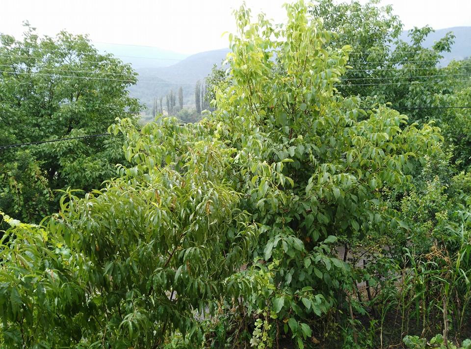 Karabük Acıöz Köyü Resimleri 13