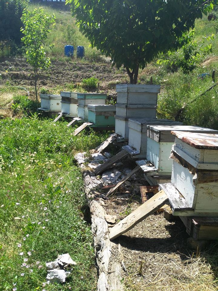 Karabük Acıöz Köyü Resimleri 16
