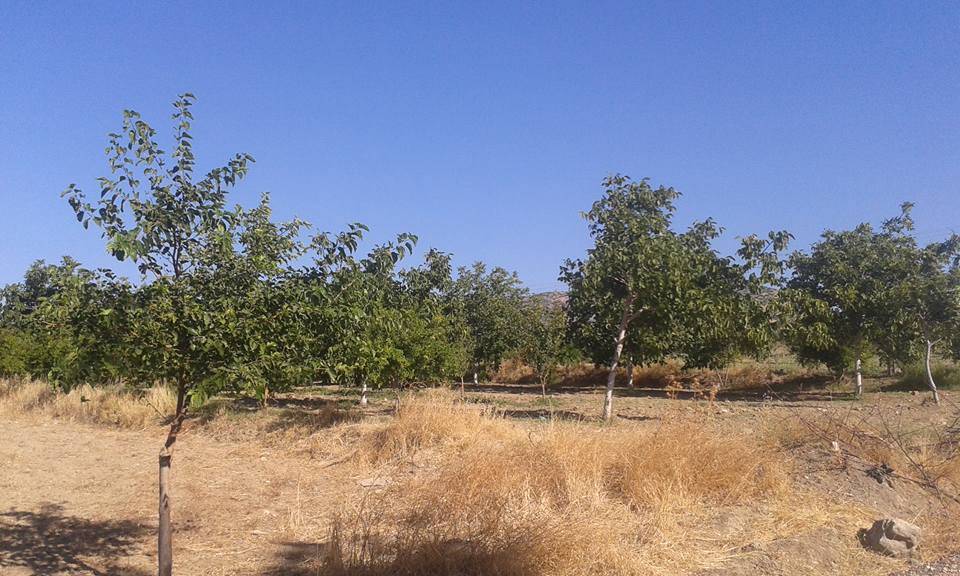 Polateli Ürünlü Köyü Resimleri 2