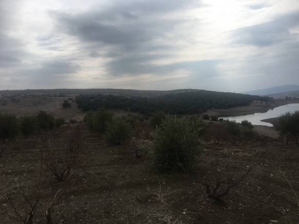 Musabeyli Aşağıbademli Köyü Resimleri 3