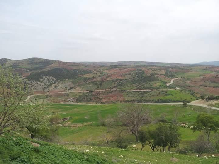 Musabeyli Bozkaya Köyü Resimleri 4