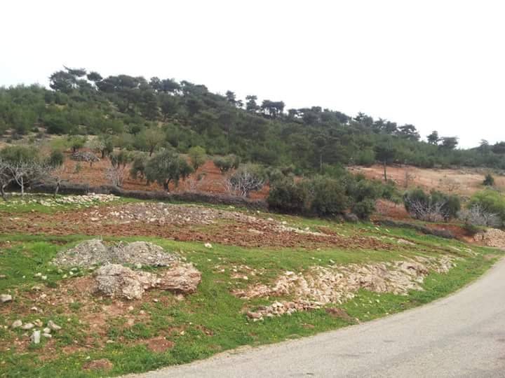 Musabeyli Bozkaya Köyü Resimleri 6