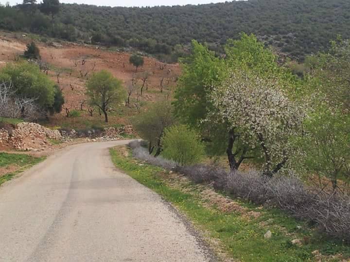 Musabeyli Bozkaya Köyü Resimleri 9