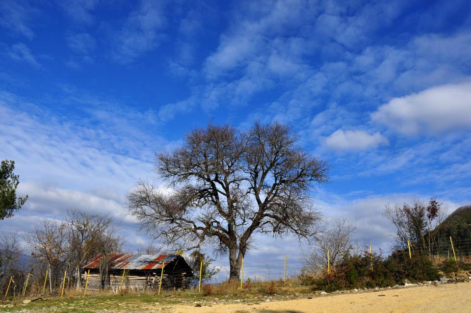 Yenice Tirköy Köyü Resimleri 1