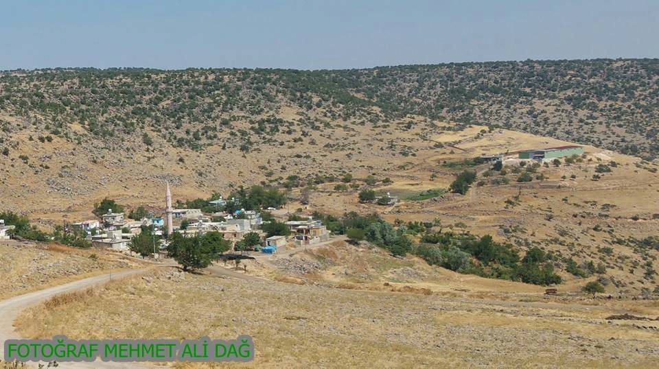 Musabeyli Gözlüce Köyü Resimleri 5