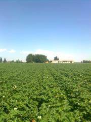 Eyyübiye Bakırtaş Köyü 3