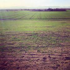 Eyyübiye Başgöze Köyü 1