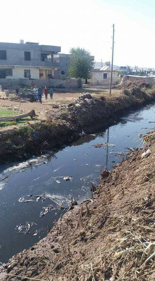 Eyyübiye Beyazyaprak Köyü 5