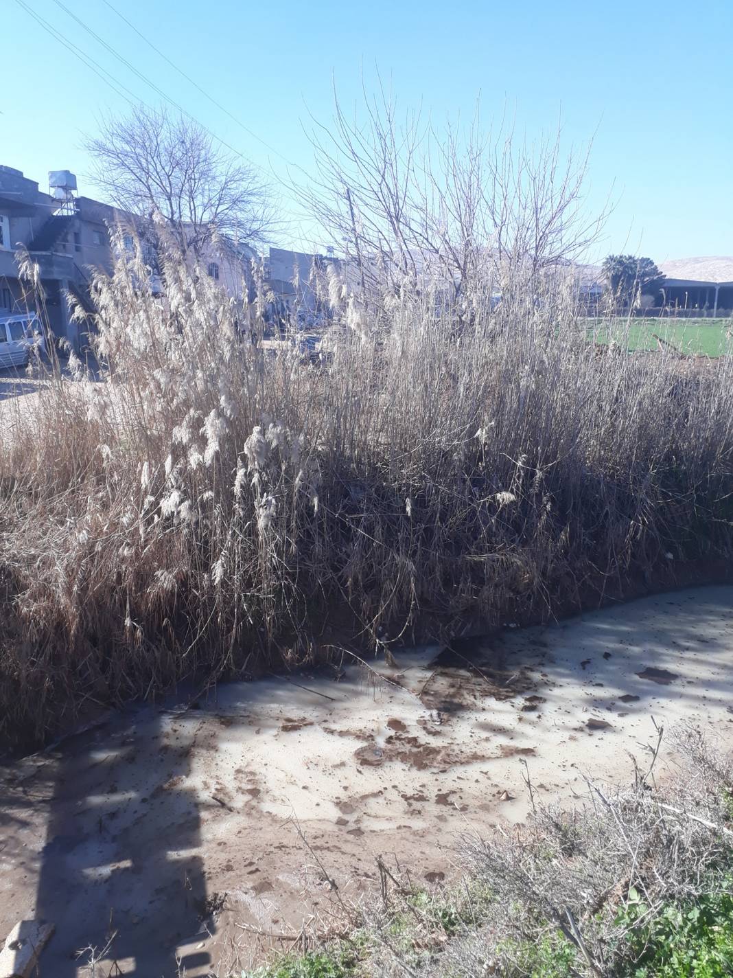 Eyyübiye Beyazyaprak Köyü 6