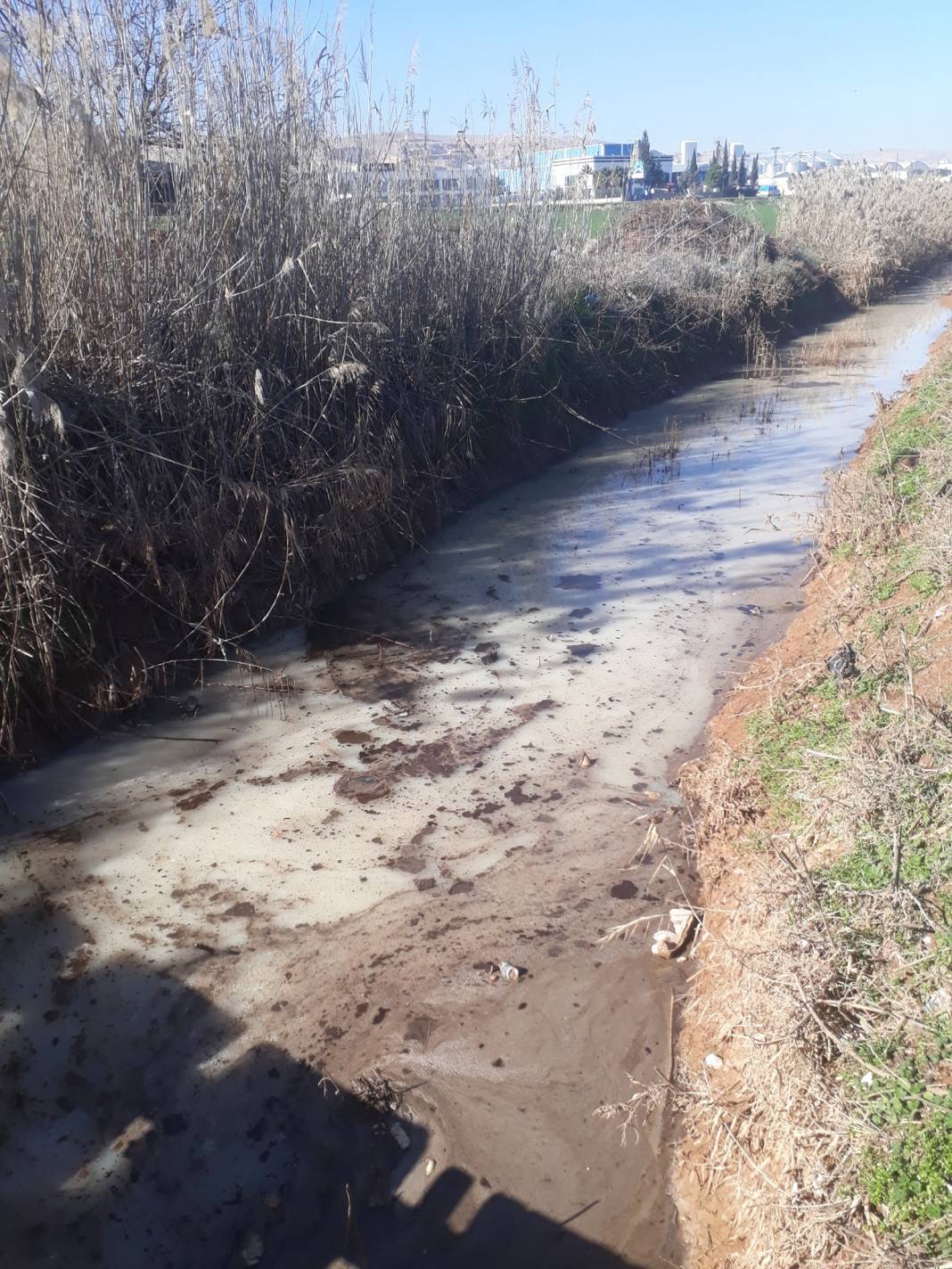 Eyyübiye Beyazyaprak Köyü 7