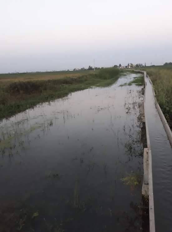 Eyyübiye Bulduk Köyü 4