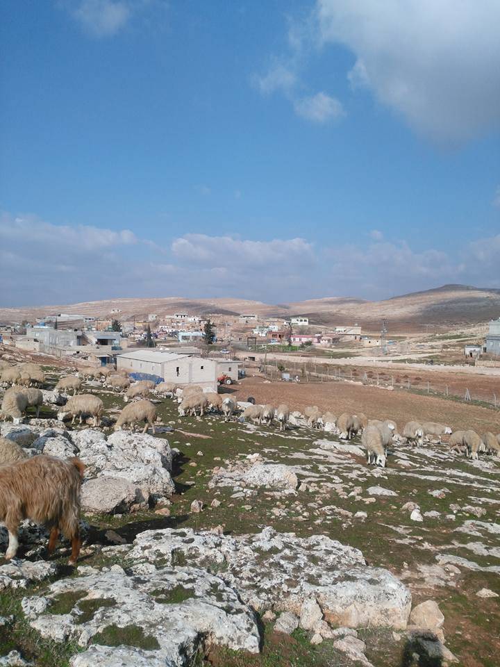 Eyyübiye Çalışkanlar Köyü 5