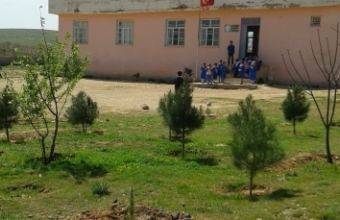 Birecik Abdallı Köyü 5