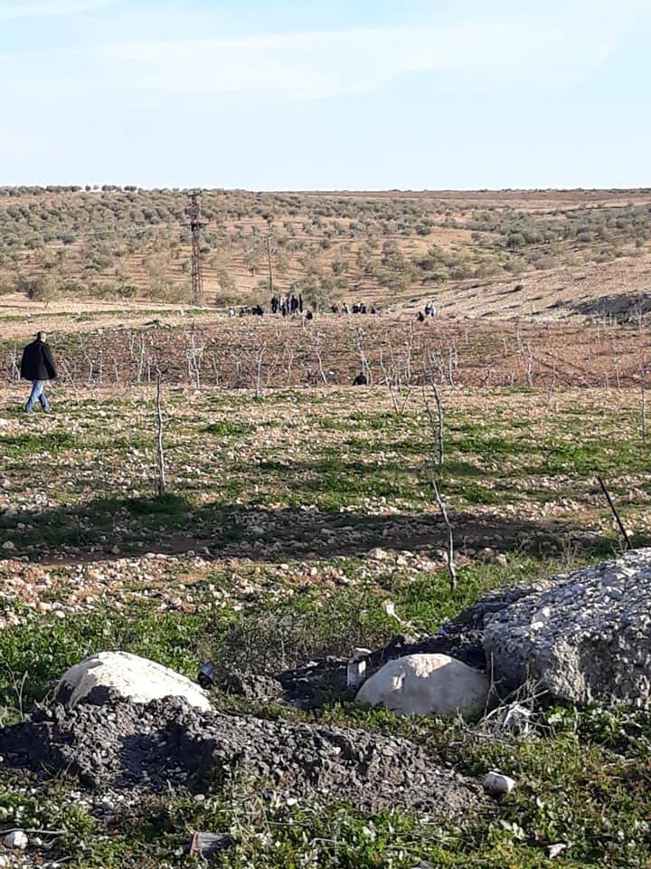 Birecik Almaşar Köyü 8