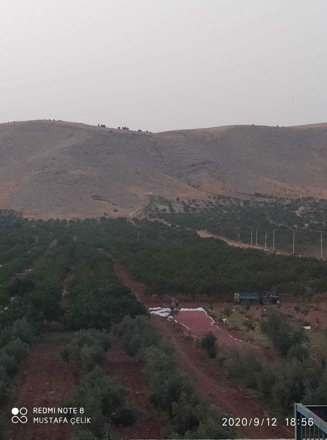 Birecik Altınova Köyü 11