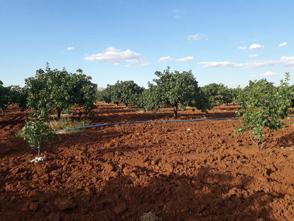 Birecik Altınova Köyü 6