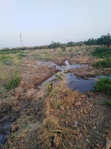 Birecik Altınova Köyü 7