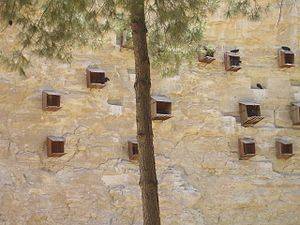 Birecik Aşağıalmaşar Köyü 4