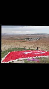 Birecik Aşağıhabib Köyü 6