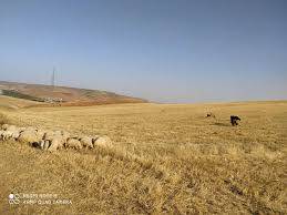 Birecik Aşağıkarkutlu Köyü 4