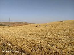 Birecik Aşağıkarkutlu Köyü 5