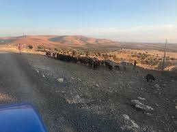 Birecik Aşağıkarkutlu Köyü 6