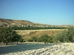 Birecik Ayran Köyü 11