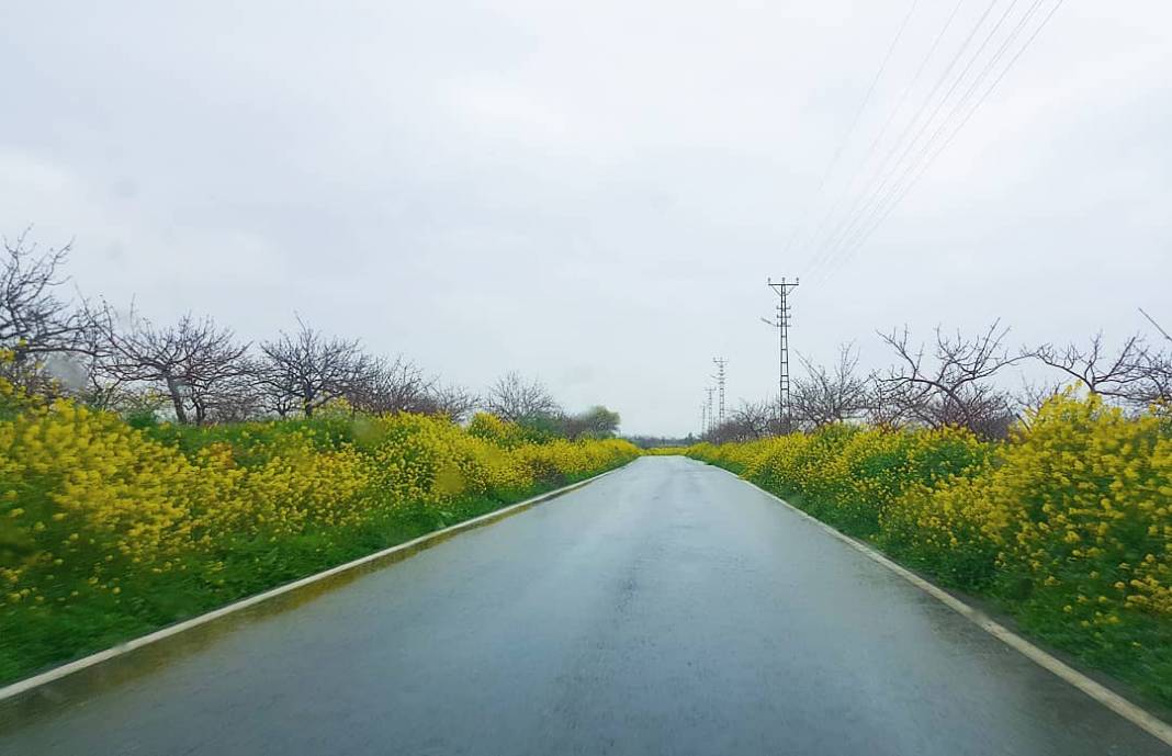 Birecik Bağlarbaşı Köyü 11