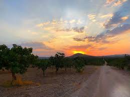 Birecik Bağlarbaşı Köyü 8