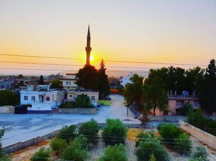 Birecik Bağlarbaşı Köyü 9