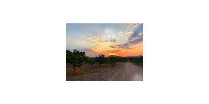 Birecik Bağlarbaşı Köyü