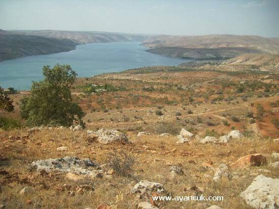 Birecik Bahçeönü Köyü 4