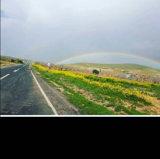 Birecik Böğürtlen Köyü 3