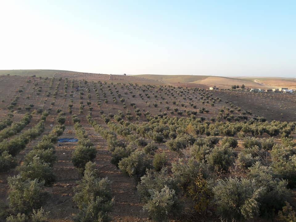 Birecik Böğürtlen Köyü 6
