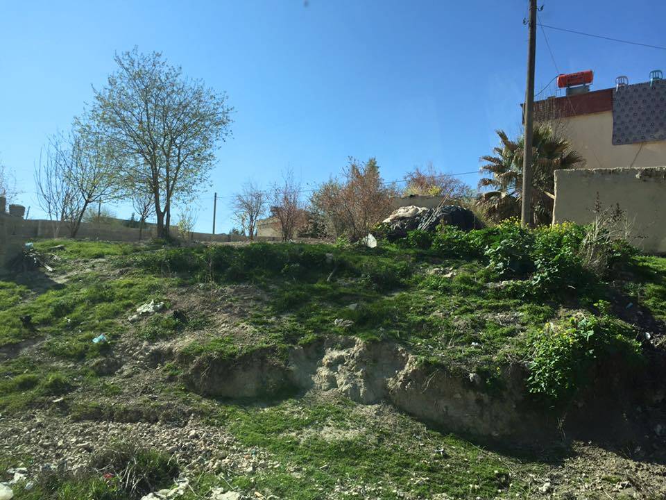 Birecik Çoğan Köyü 8